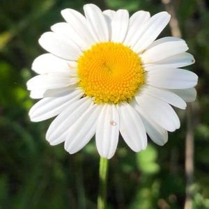 Meet your Posher, Jayme